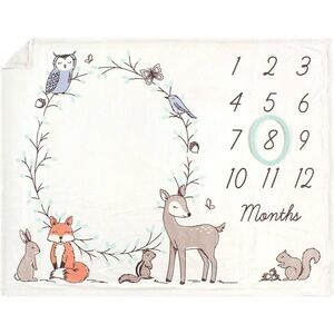 Soft, Baby Months Milestones Blanket